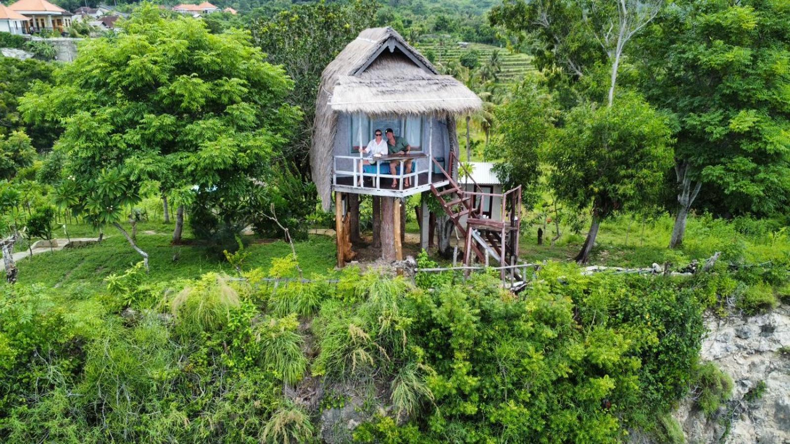 Eco-Tourist Dreamstay Treehouse Tanglad Værelse billede